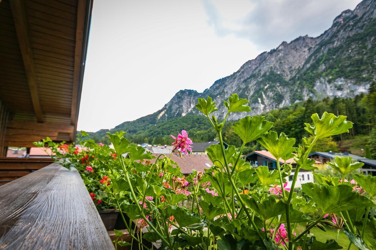 Pension Bergfried 그로딕 외부 사진